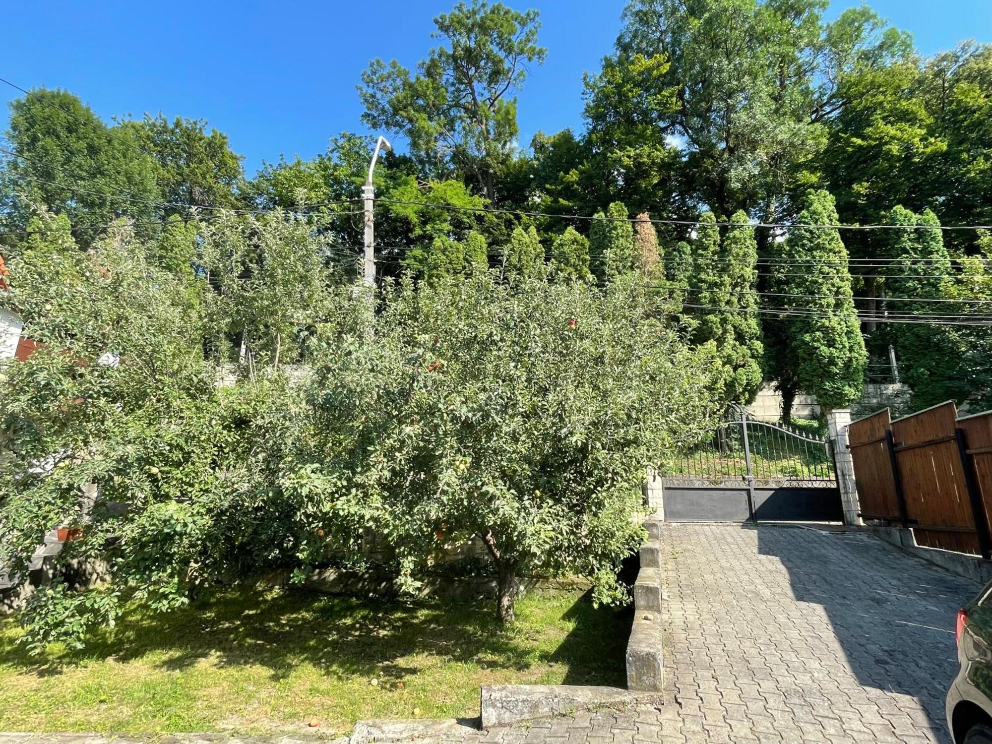 Flh - Casa Gheti Sighisoara